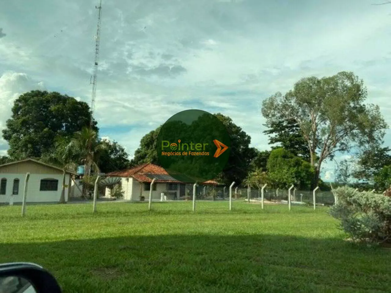 Fazenda - 650 Hectares