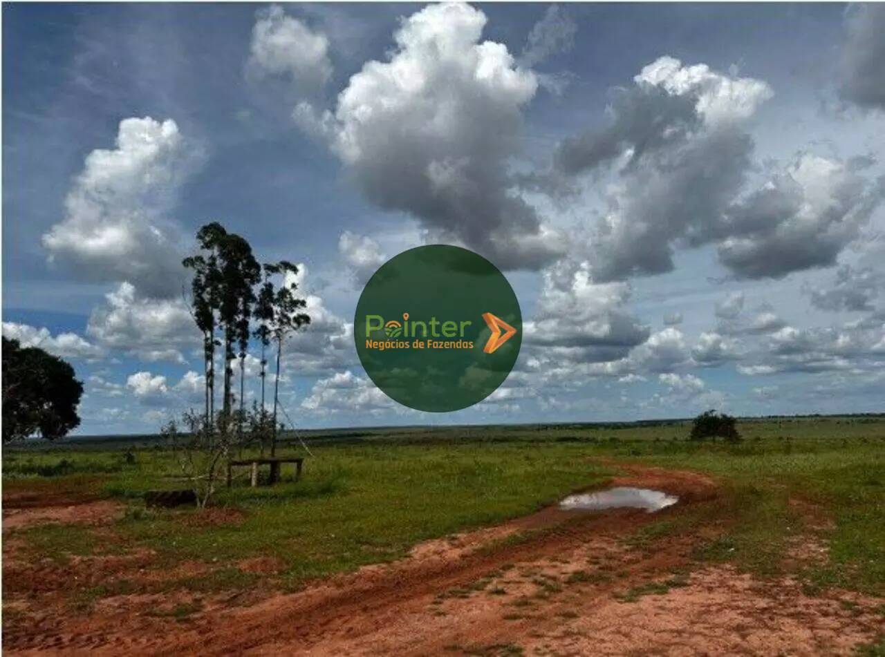 Fazenda - 3.726 Hectares