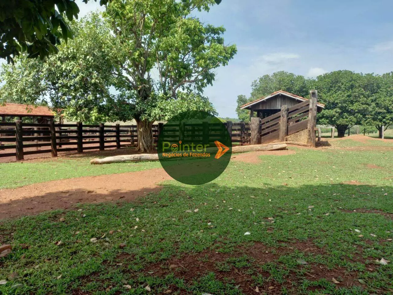 Fazenda - 425 Alqueires